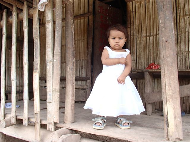puluwas--2-