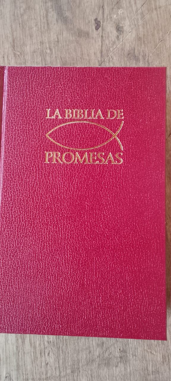 mv říjen 2025 rio coco (10)