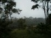 deštný prales